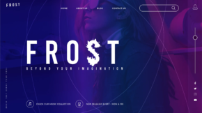 frost-website-conceptbud-img