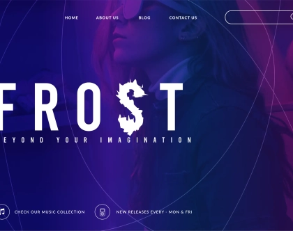 frost-website-conceptbud-img