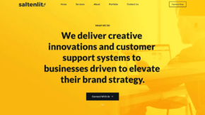 saltenlit-web-agency-conceptbud-img