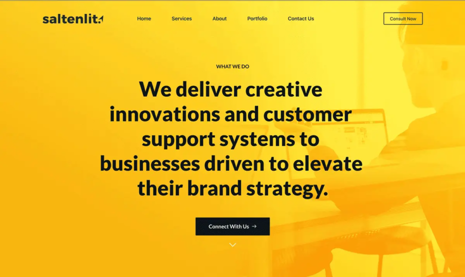 saltenlit-web-agency-conceptbud-img